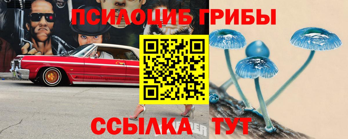 Ухта  Галлюциногенные грибы прущие грибы  Вход с VPN 